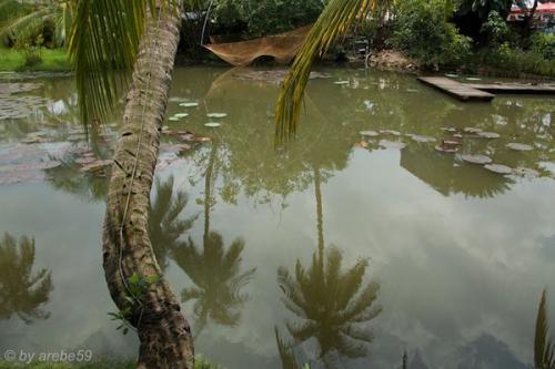 vn_september_15_00039